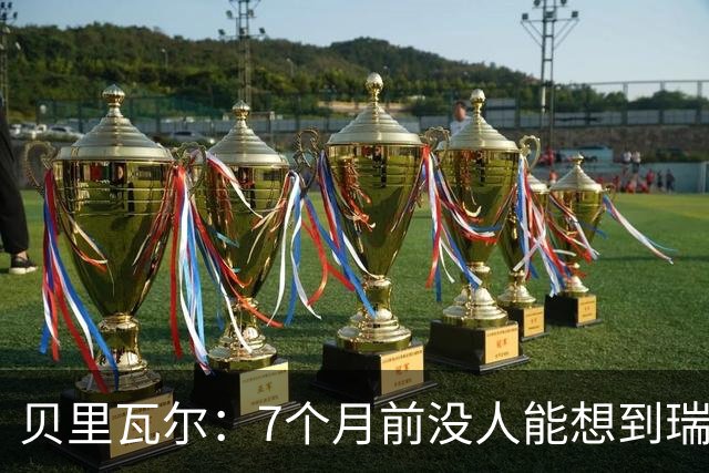 贝里瓦尔：7个月前没人能想到瑞典能来到这里，为全队感到自豪