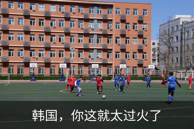韩国，你这就太过火了